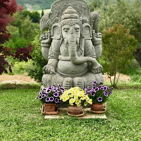 Casa Anandi Retreat *