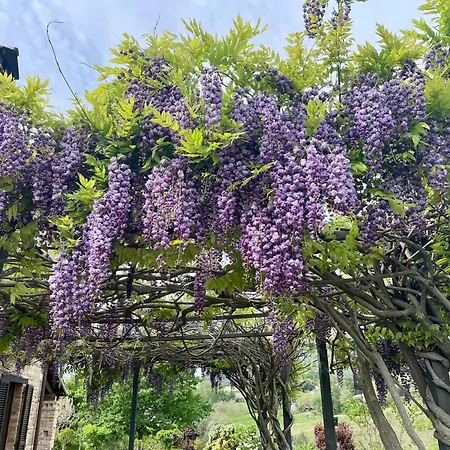 Casa Anandi Retreat Bed & Breakfast Santa Maria di Paterno